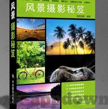 90足球比分网-深度揭秘,90足球比分网——球迷的实时数据宝藏库