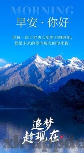 德甲足球 比分直播-德甲风云,实时比分直播背后的激情与策略盛宴