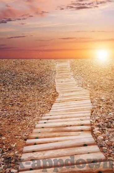 热门文章