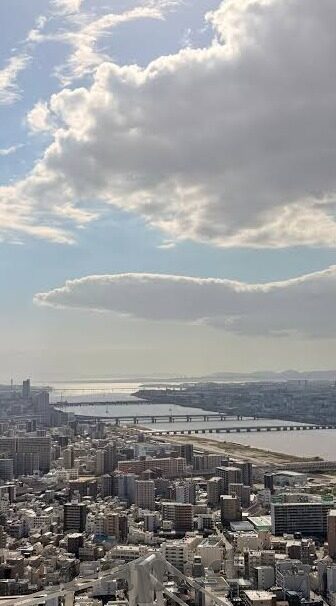 新浪足球比分网即时比分-揭秘新浪足球比分网,即时比分背后的数据江湖与球迷狂欢