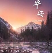 足球推介及比分-精准足球推介与比分预测,解锁绿茵场的智慧密码